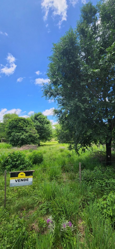 Venta lote amplio con hermosa arboleda lyz y agua en puerta cercado Santa Monica Calamuchita