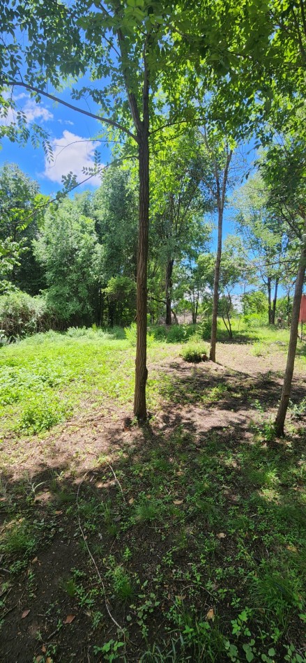 VENTA LOTE AMPLIO CERCADO CON ARBOLEDA EXCELENTE UBICACION SANTA MONICA CALAMUCHITA
