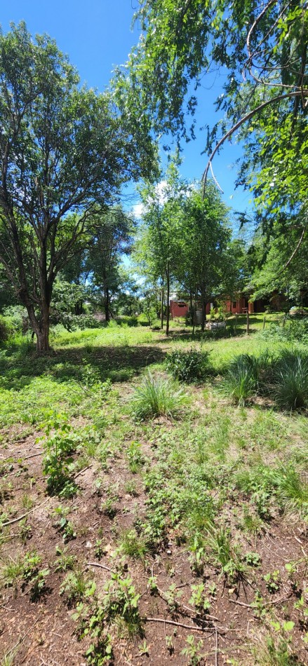 VENTA LOTE AMPLIO CERCADO CON ARBOLEDA EXCELENTE UBICACION SANTA MONICA CALAMUCHITA