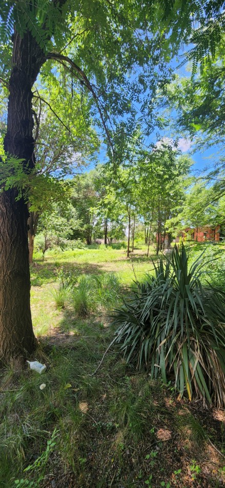 VENTA LOTE AMPLIO CERCADO CON ARBOLEDA EXCELENTE UBICACION SANTA MONICA CALAMUCHITA