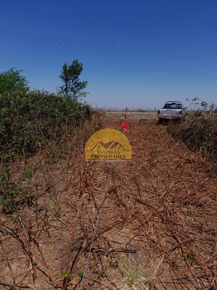 10 HECTAREAS IMPONENTES VISTAS SOBRE RUTA CON ENERGIA ELECTRICA