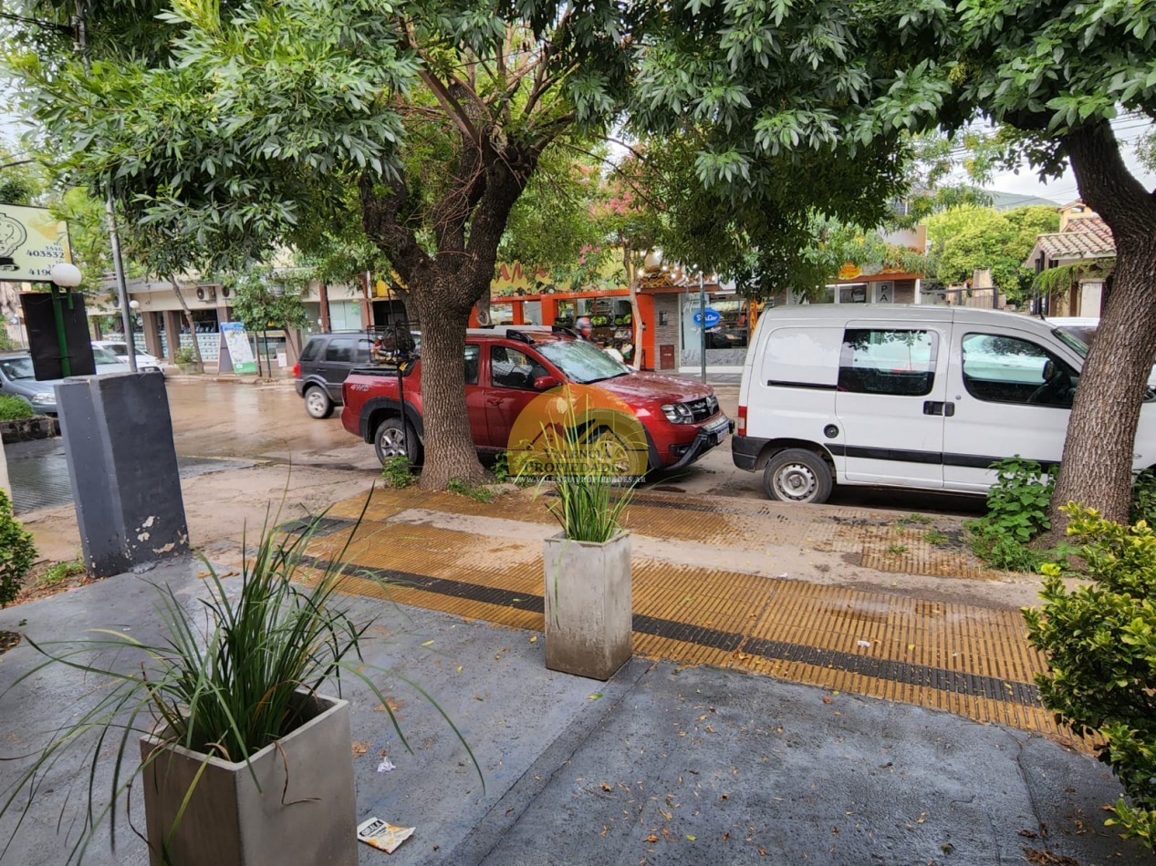 PH CON PARQUE Y PARRILLA MAS DOS LOCALES COMERCIALES SOBRE CALLE CENTRO COMERICAL SANTA ROSA DE CALAMUCHITA