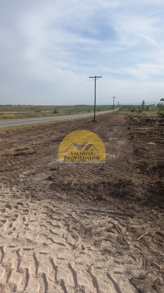 10 HECTAREAS IMPONENTES VISTAS SOBRE RUTA CON ENERGIA ELECTRICA