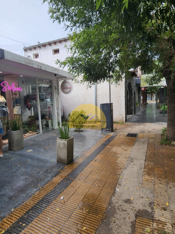 PH CON PARQUE Y PARRILLA MAS DOS LOCALES COMERCIALES SOBRE CALLE CENTRO COMERICAL SANTA ROSA DE CALAMUCHITA