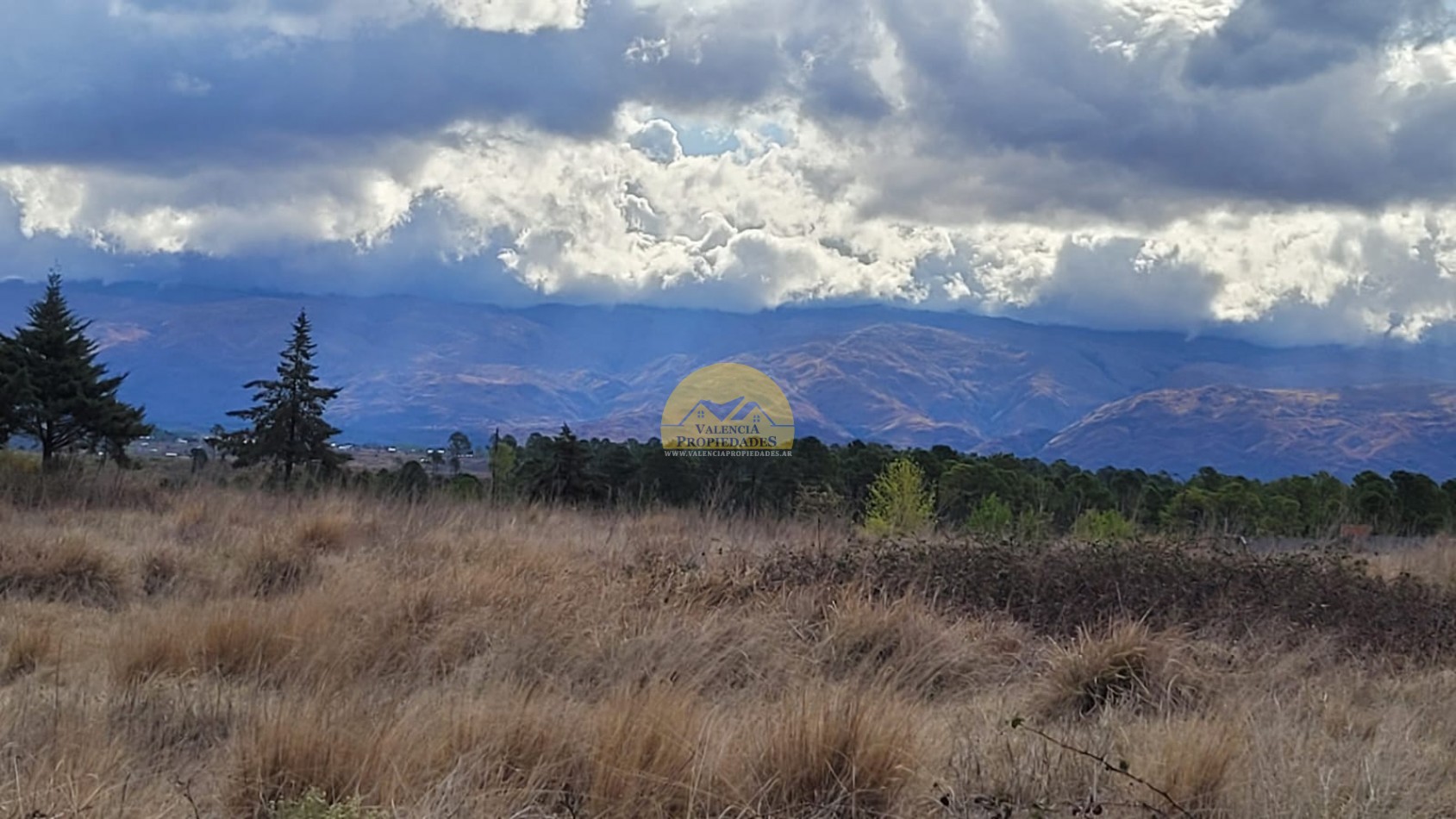 10 HECTAREAS IMPONENTES VISTAS SOBRE RUTA CON ENERGIA ELECTRICA