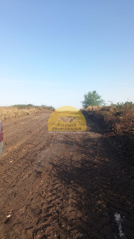 10 HECTAREAS IMPONENTES VISTAS SOBRE RUTA CON ENERGIA ELECTRICA