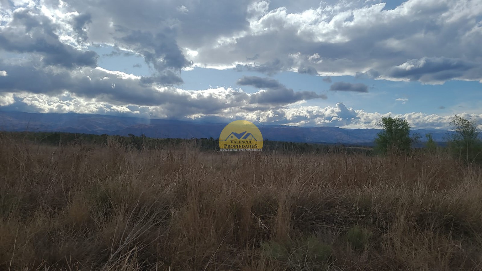 10 HECTAREAS IMPONENTES VISTAS SOBRE RUTA CON ENERGIA ELECTRICA