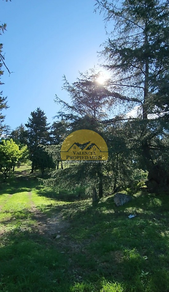 VENTA 7 HECTAREAS CON COSTA DE ARROYO CASCO DE ESTANCIA