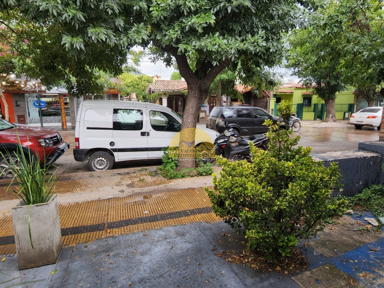 PH CON PARQUE Y PARRILLA MAS DOS LOCALES COMERCIALES SOBRE CALLE CENTRO COMERICAL SANTA ROSA DE CALAMUCHITA