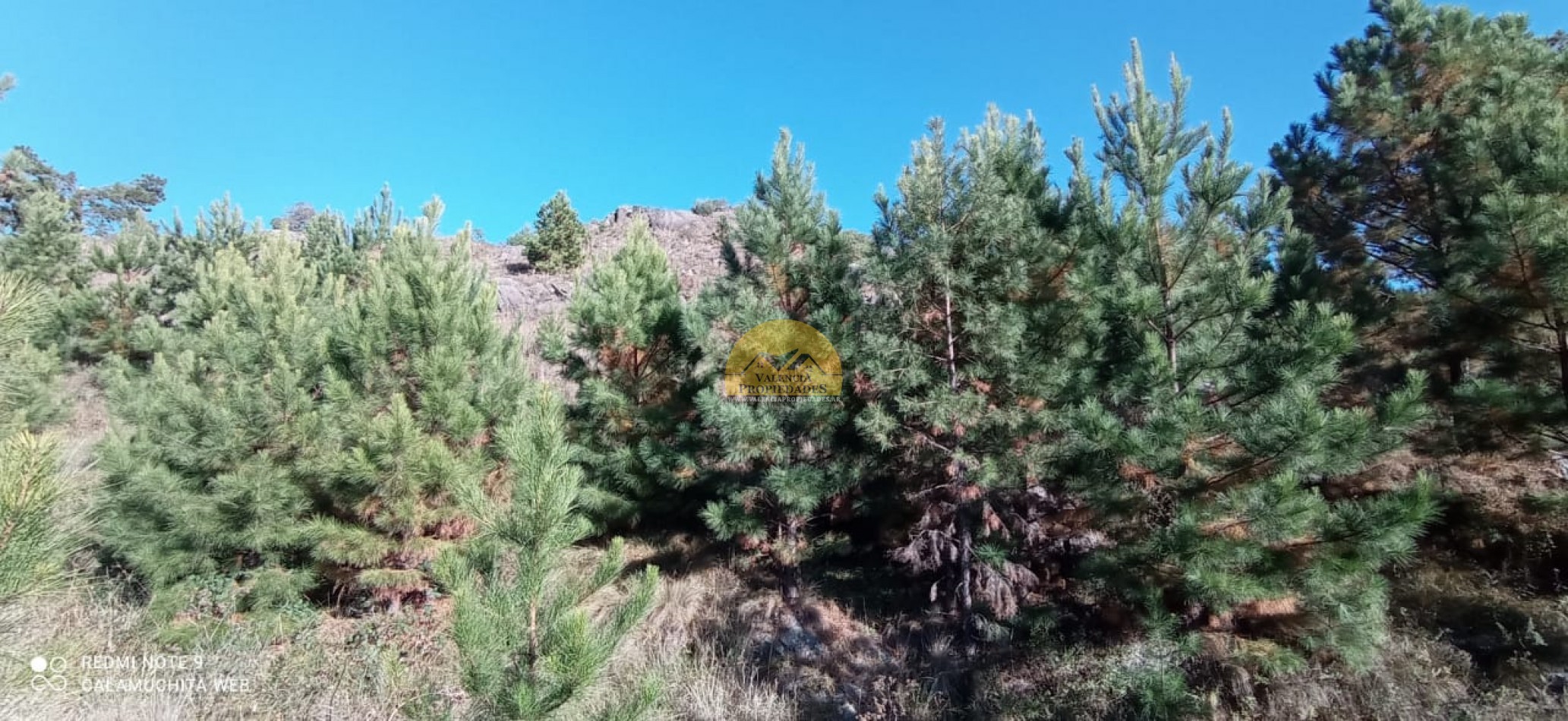 VENTA FRACCION DE CAMPO 5 HECTAREAS ATRAVESADAS POR ARROYO APTO VIÑEDO CON CASA A ESTRENAR 1 DORMITORIO EL DURAZNO CALAMUCHITA
