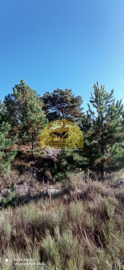 VENTA FRACCION DE CAMPO 5 HECTAREAS ATRAVESADAS POR ARROYO APTO VIÑEDO CON CASA A ESTRENAR 1 DORMITORIO EL DURAZNO CALAMUCHITA