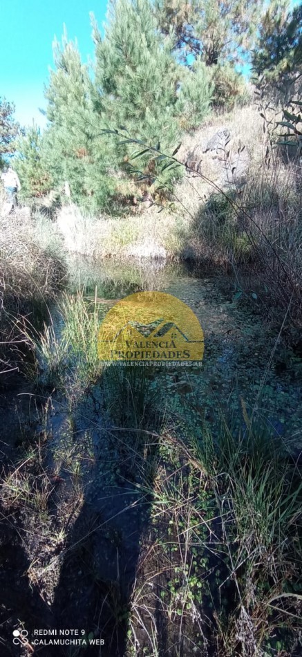 VENTA FRACCION DE CAMPO 5 HECTAREAS ATRAVESADAS POR ARROYO APTO VIÑEDO CON CASA A ESTRENAR 1 DORMITORIO EL DURAZNO CALAMUCHITA
