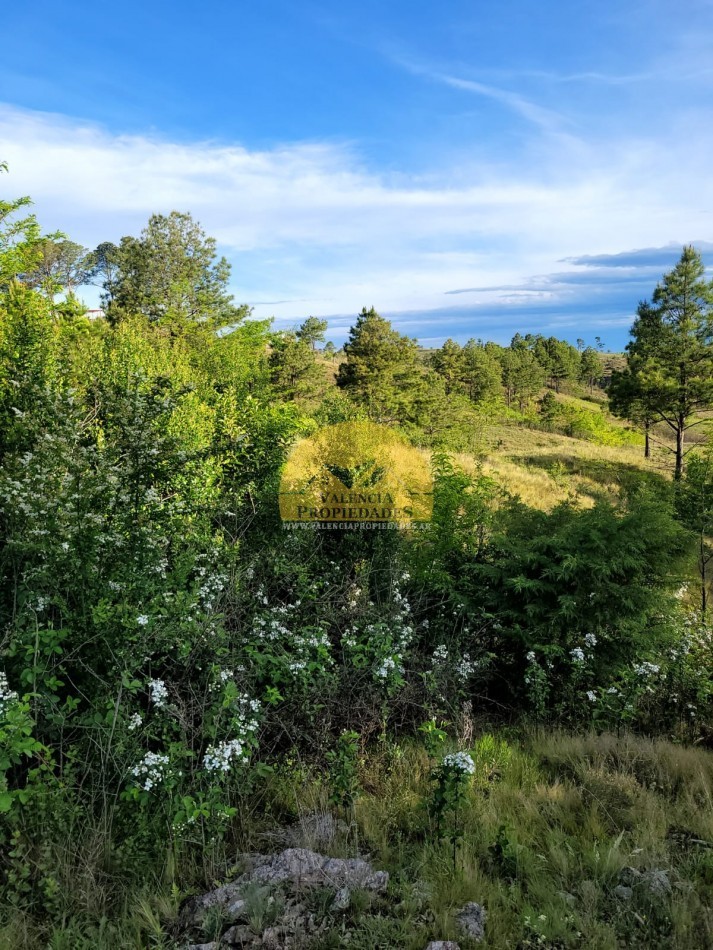 Excepcional loteo privado en sierra