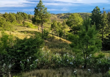 Excepcional loteo privado en sierra