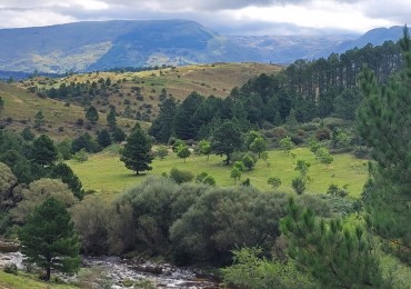 VENTA CAMPO COSTA A RIO SOBRE RUTA ENERGIA ELECTRICA VEGETACION Y VISTAS PANORAMICAS INTIYACO