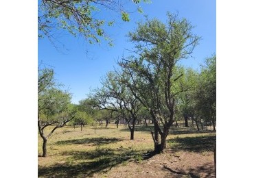 VENTA LOTE ESQUINA A METROS DEL RIO SANTA ROSA