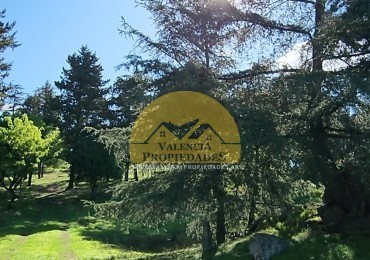 VENTA 7 HECTAREAS CON COSTA DE ARROYO CASCO DE ESTANCIA